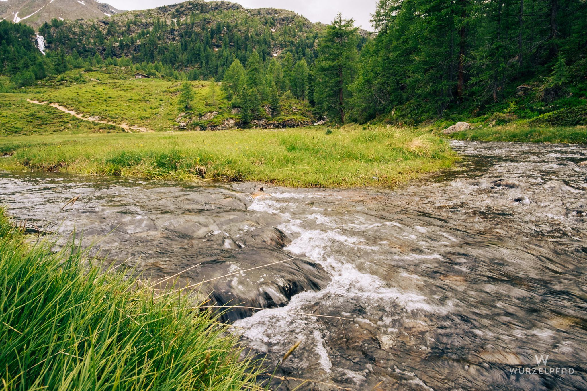 Falschauer vorm Fischersee